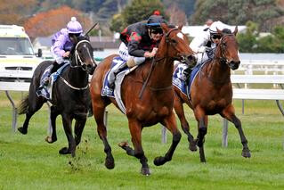 Volpe Veloce winning at Wanganui. Photo Credit: Race Images